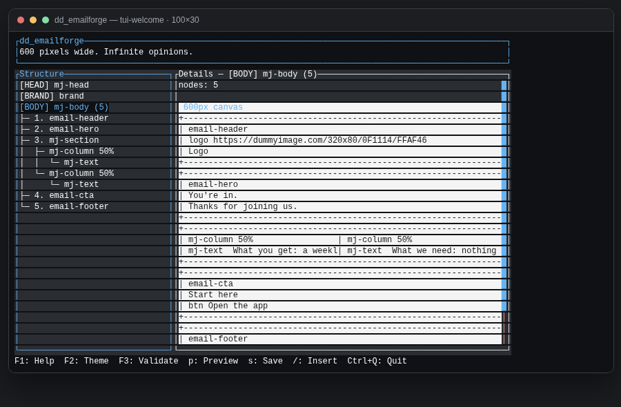 Welcome starter in the TUI: structure tree on the left, full email blueprint on the right
